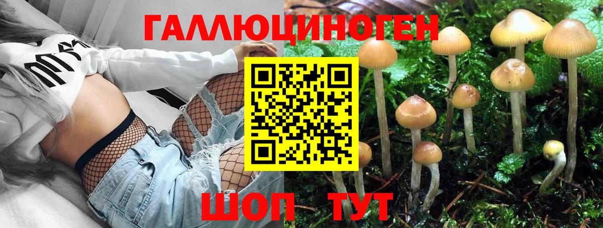 Галлюциногенные грибы Psilocybe Анапа